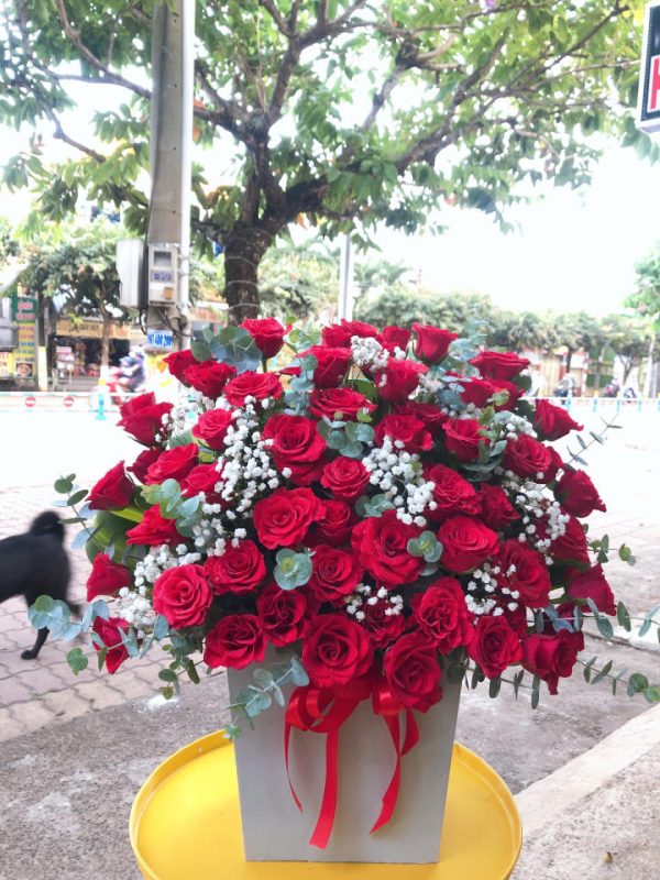 Shop Hoa Tươi Huyện Gò Quao, Tỉnh Kiên Giang