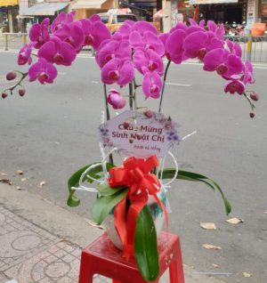 Shop Hoa Tươi Thị trấn Thứ Mười Một, An Minh, Kiên Giang